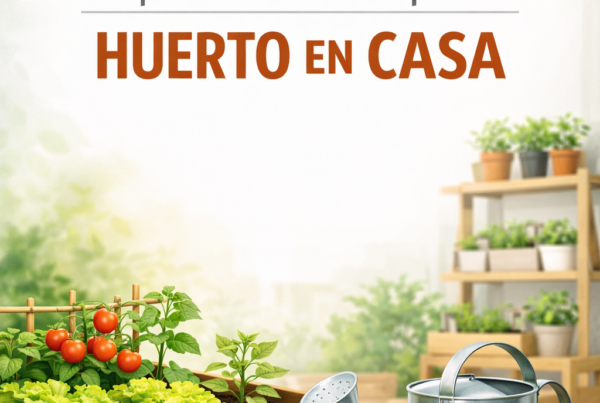 Guía 10 pasos para crear un cultivo en casa huerto urbano jardinería sostenible en hogar