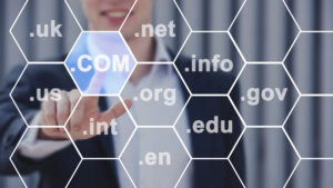Persona eligiendo un nombre de dominio para su página web